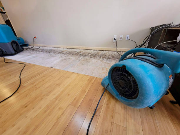 Professional Sewage Cleanup technician working in Beloit, WI